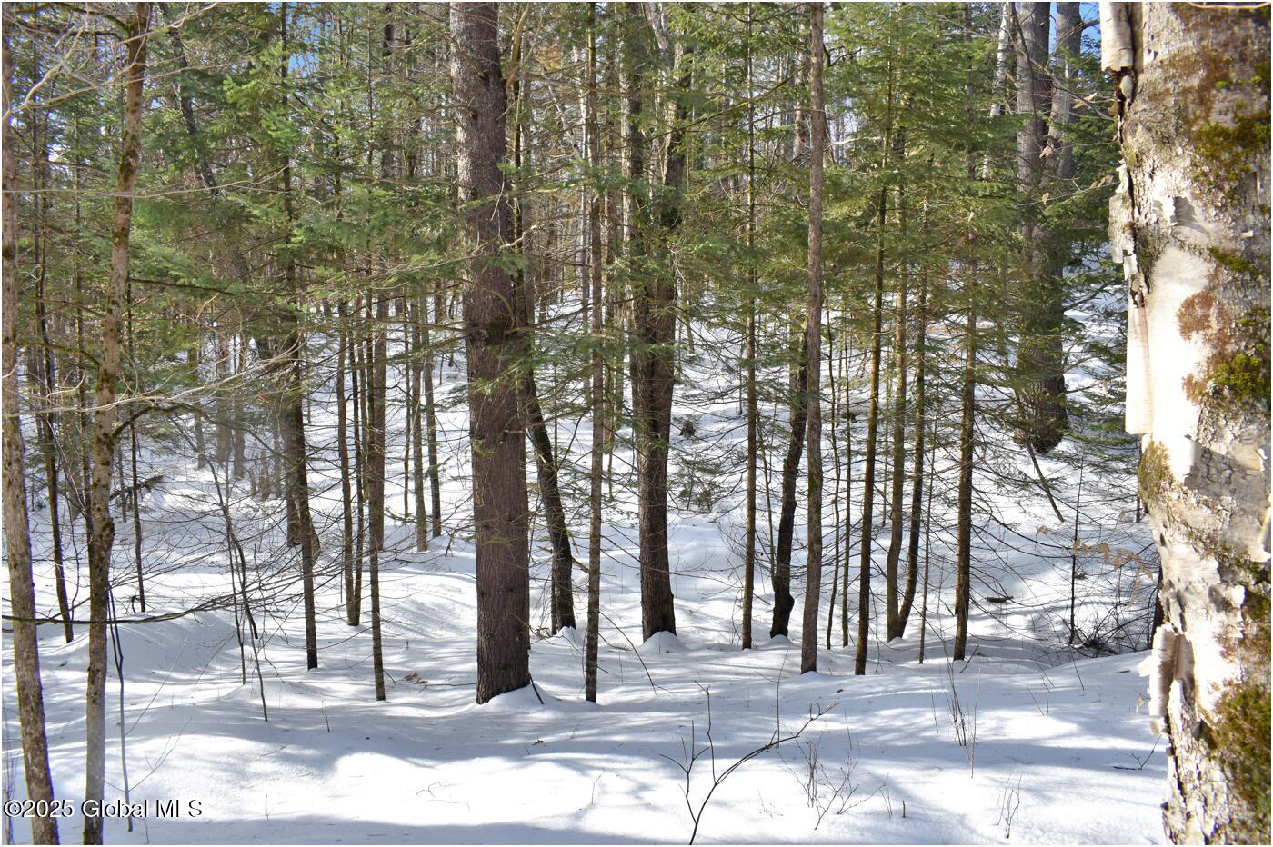 L96 Highview Lane Wevertown NY 12886