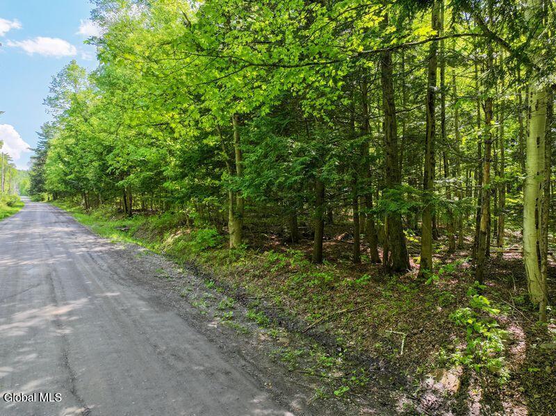 L2 Liddle-harris Road Putnam NY 12861