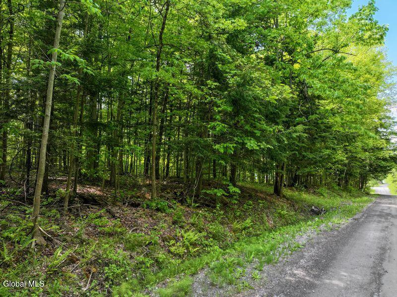 L2 Liddle-harris Road Putnam NY 12861