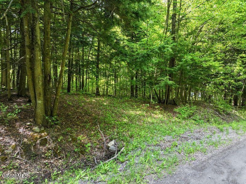 L2 Liddle-harris Road Putnam NY 12861