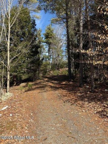 61 Snowshoe Ridge Warrensburg NY 12885