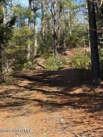 61 Snowshoe Ridge Warrensburg NY 12885