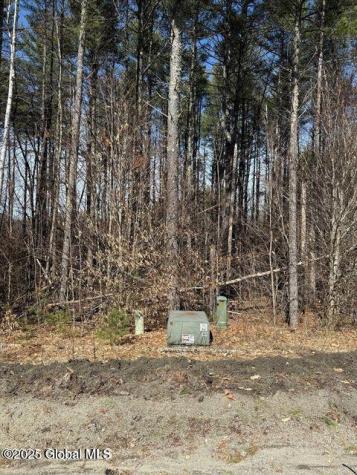 61 Snowshoe Ridge Warrensburg NY 12885