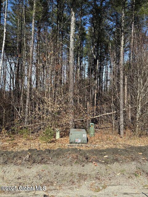 61 Snowshoe Ridge Warrensburg NY 12885