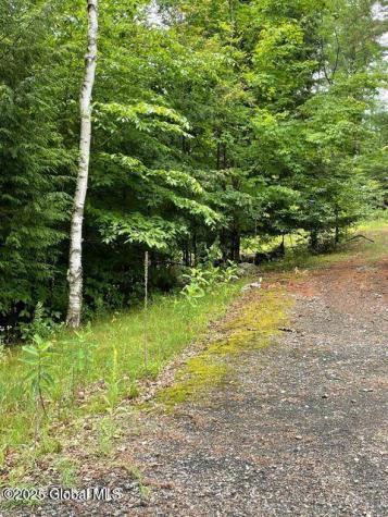 61 Snowshoe Ridge Warrensburg NY 12885