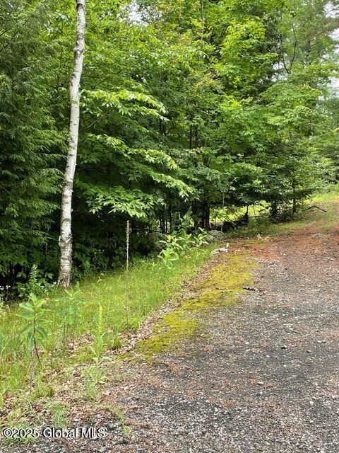 61 Snowshoe Ridge Warrensburg NY 12885