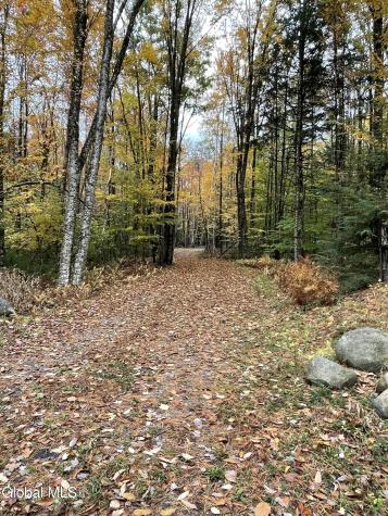 567 White Birch Road Northville NY 12134
