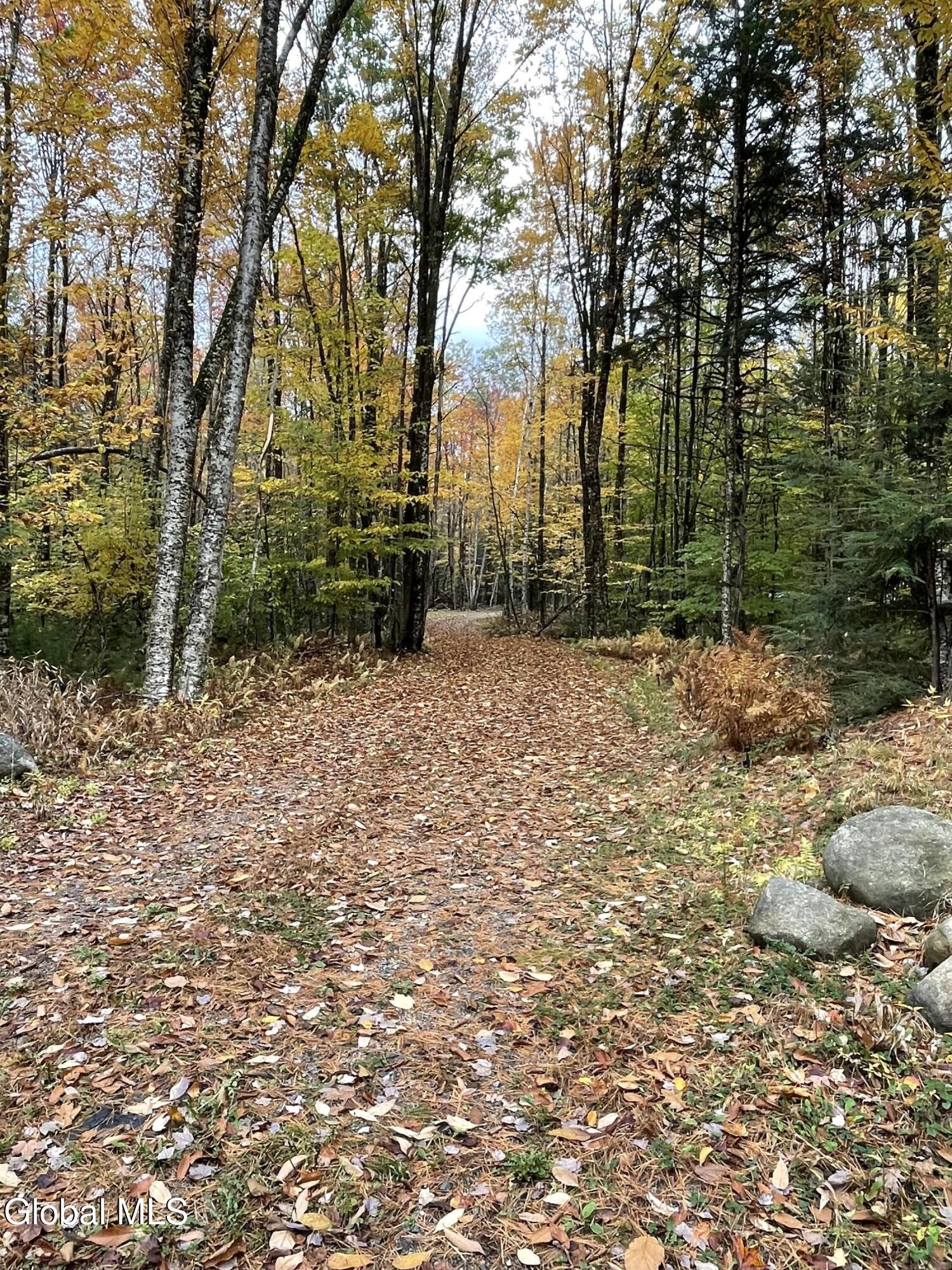 567 White Birch Road Northville NY 12134