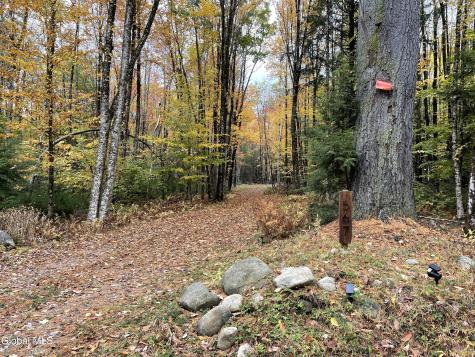 567 White Birch Road Northville NY 12134