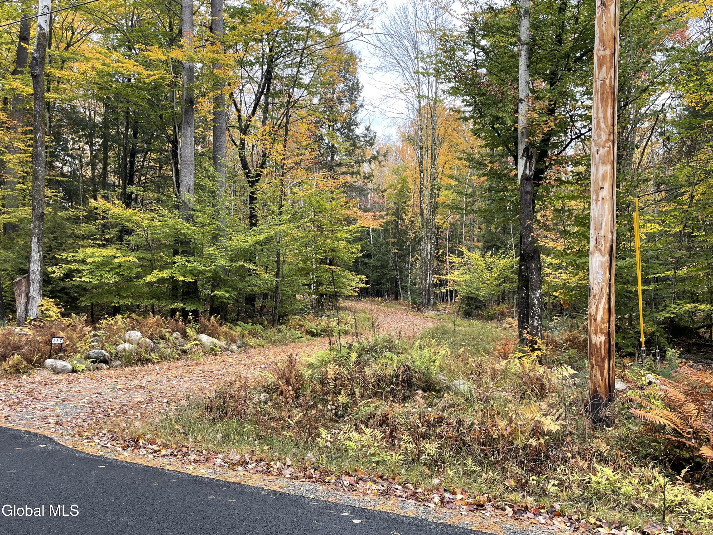 567 White Birch Road Northville NY 12134