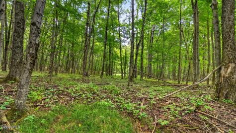 198 Otte Road Richmondville NY 12149