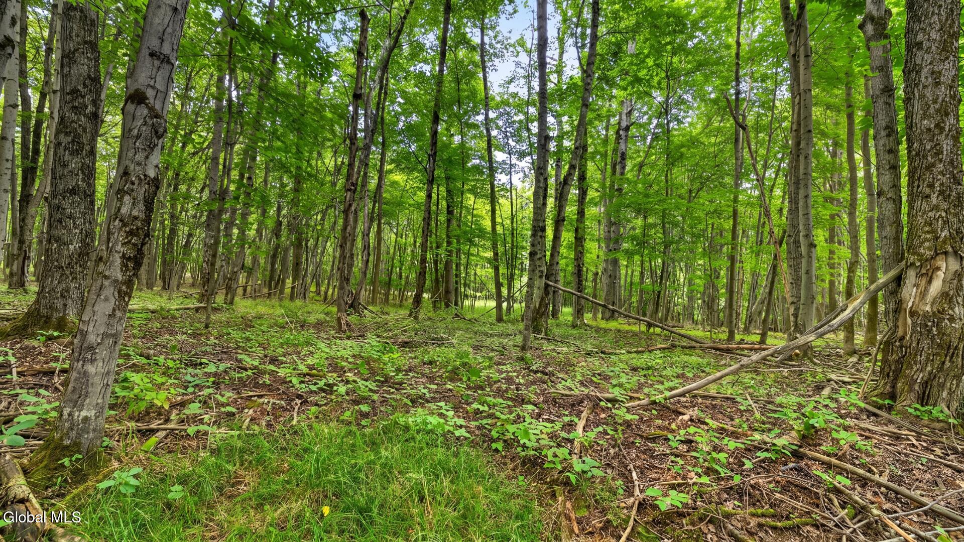 198 Otte Road Richmondville NY 12149
