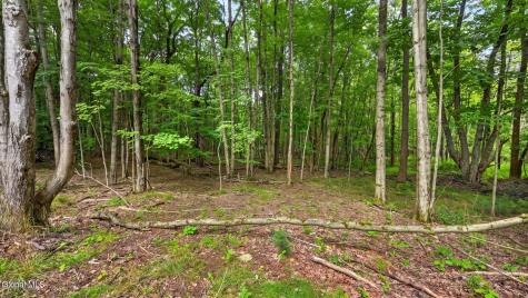 198 Otte Road Richmondville NY 12149