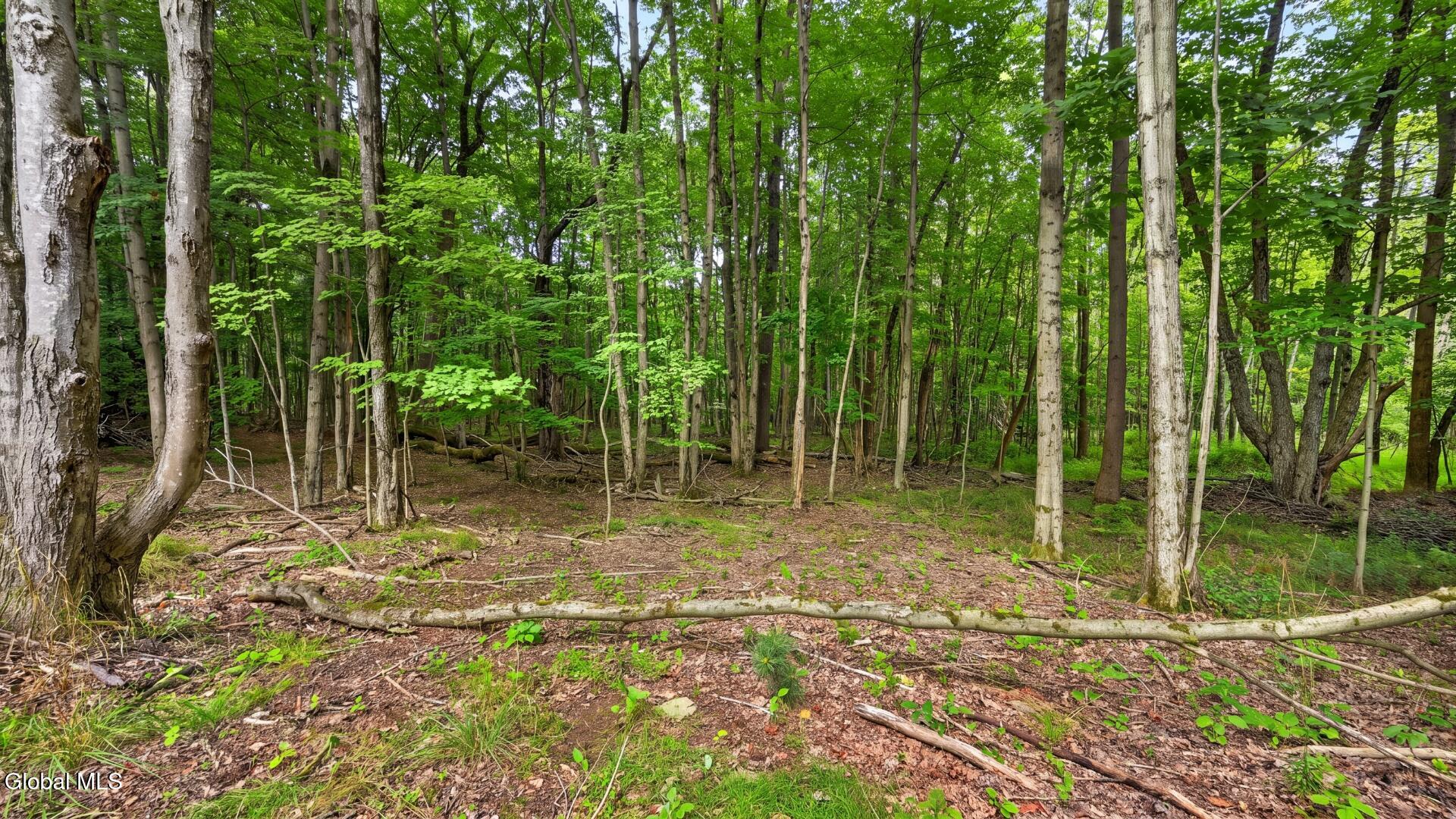 198 Otte Road Richmondville NY 12149