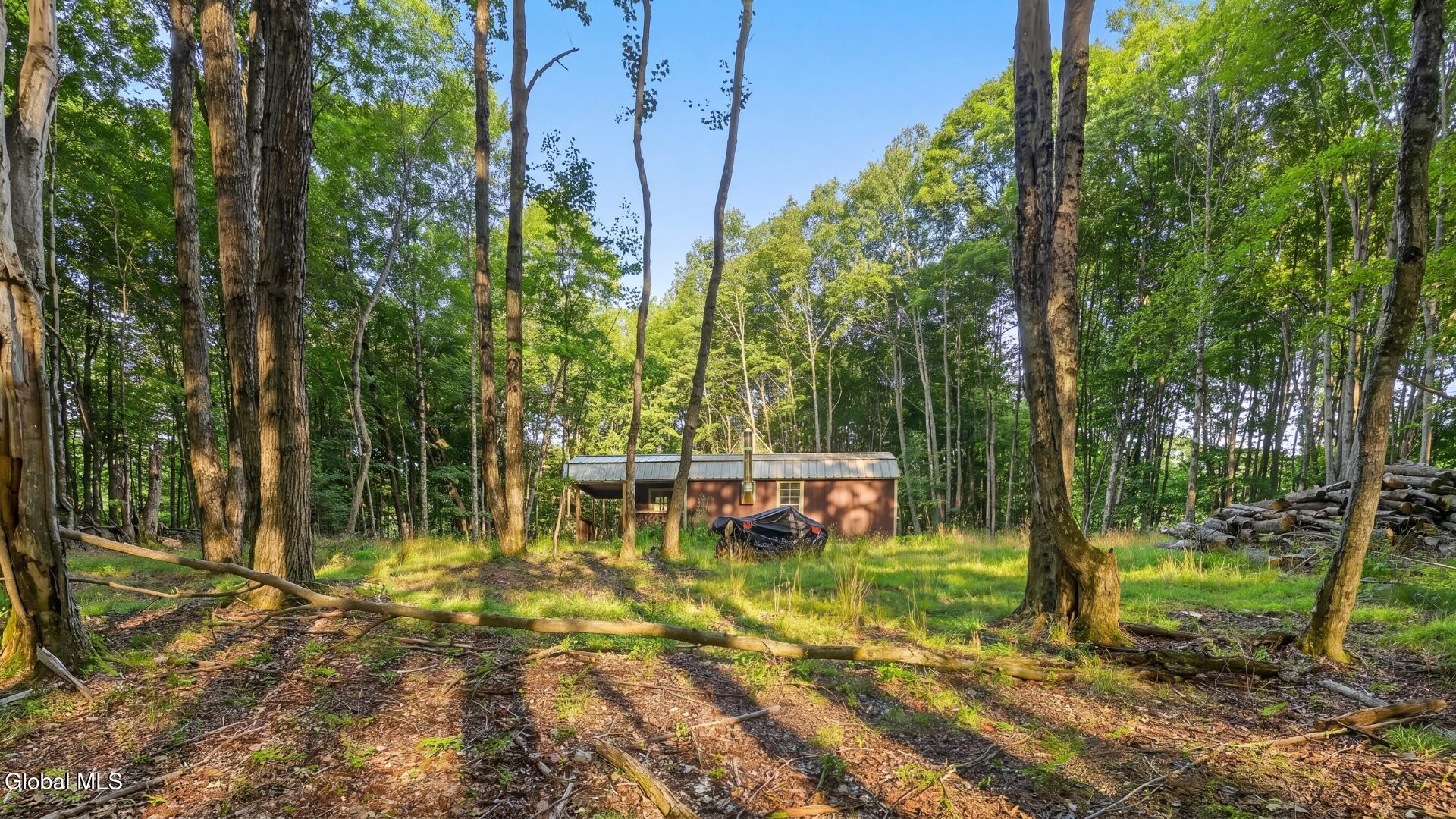 198 Otte Road Richmondville NY 12149