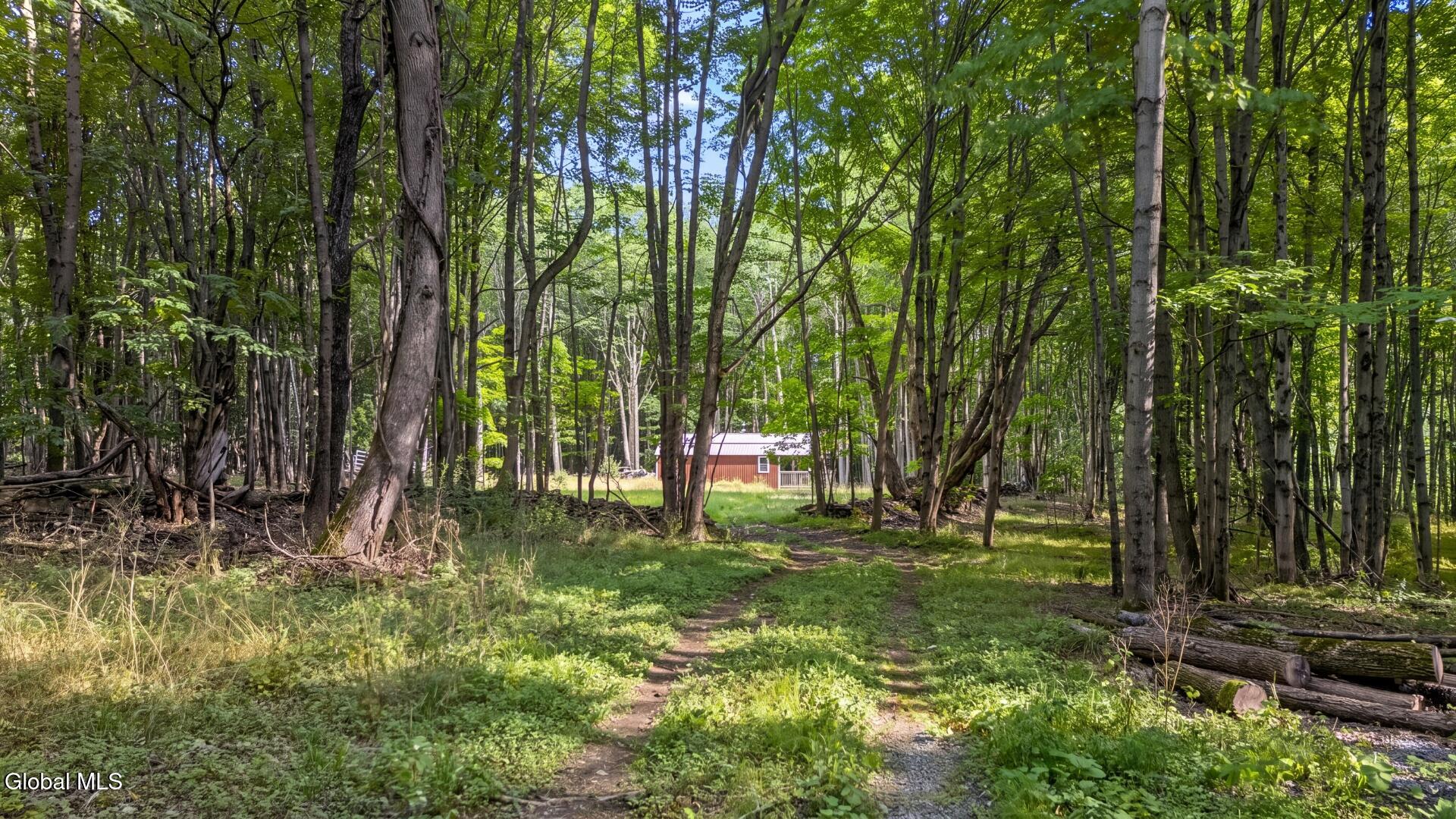 198 Otte Road Richmondville NY 12149