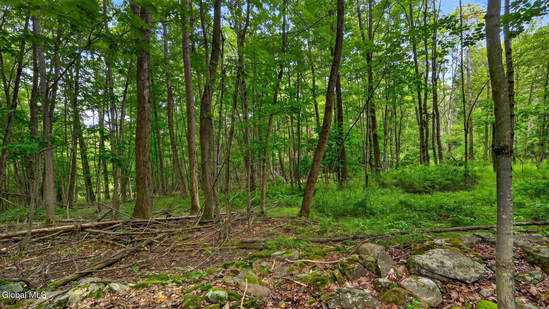 198 Otte Road Richmondville NY 12149