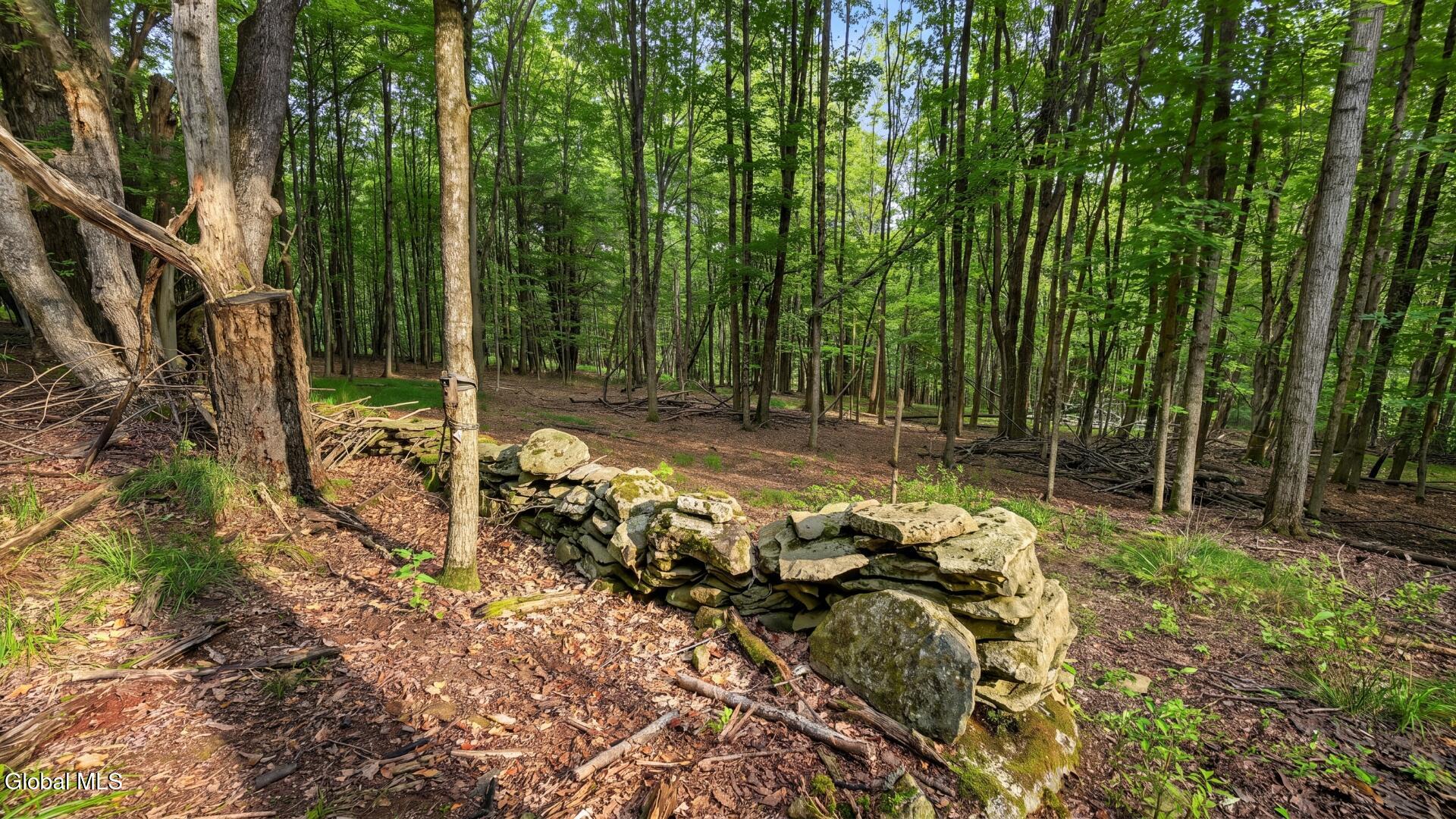 198 Otte Road Richmondville NY 12149