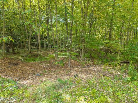 332 Hammondtown Road Amsterdam NY 12010