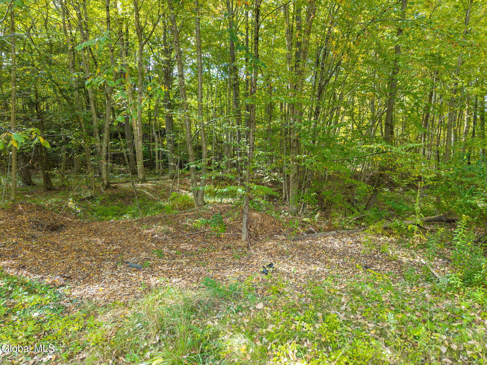 332 Hammondtown Road Amsterdam NY 12010