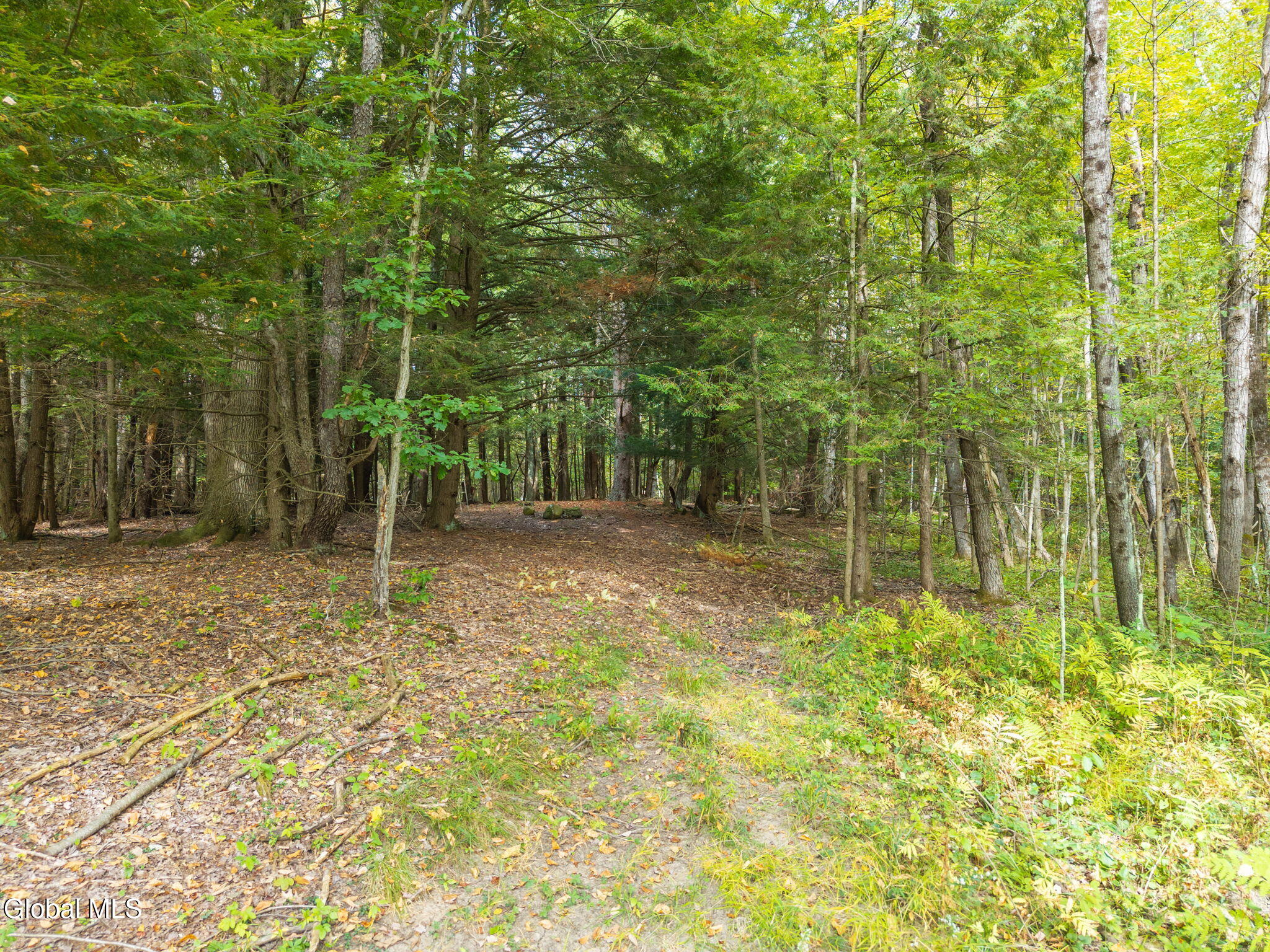 332 Hammondtown Road Amsterdam NY 12010