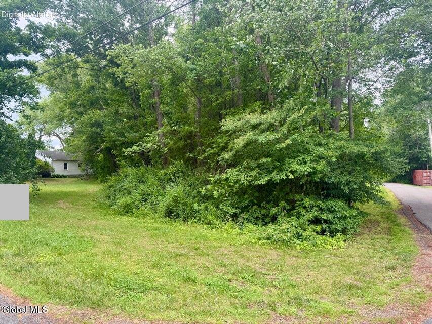 L26 Pausley Court Selkirk NY 12158