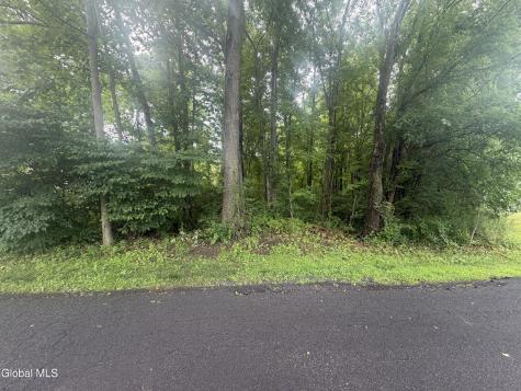 L26 Pausley Court Selkirk NY 12158