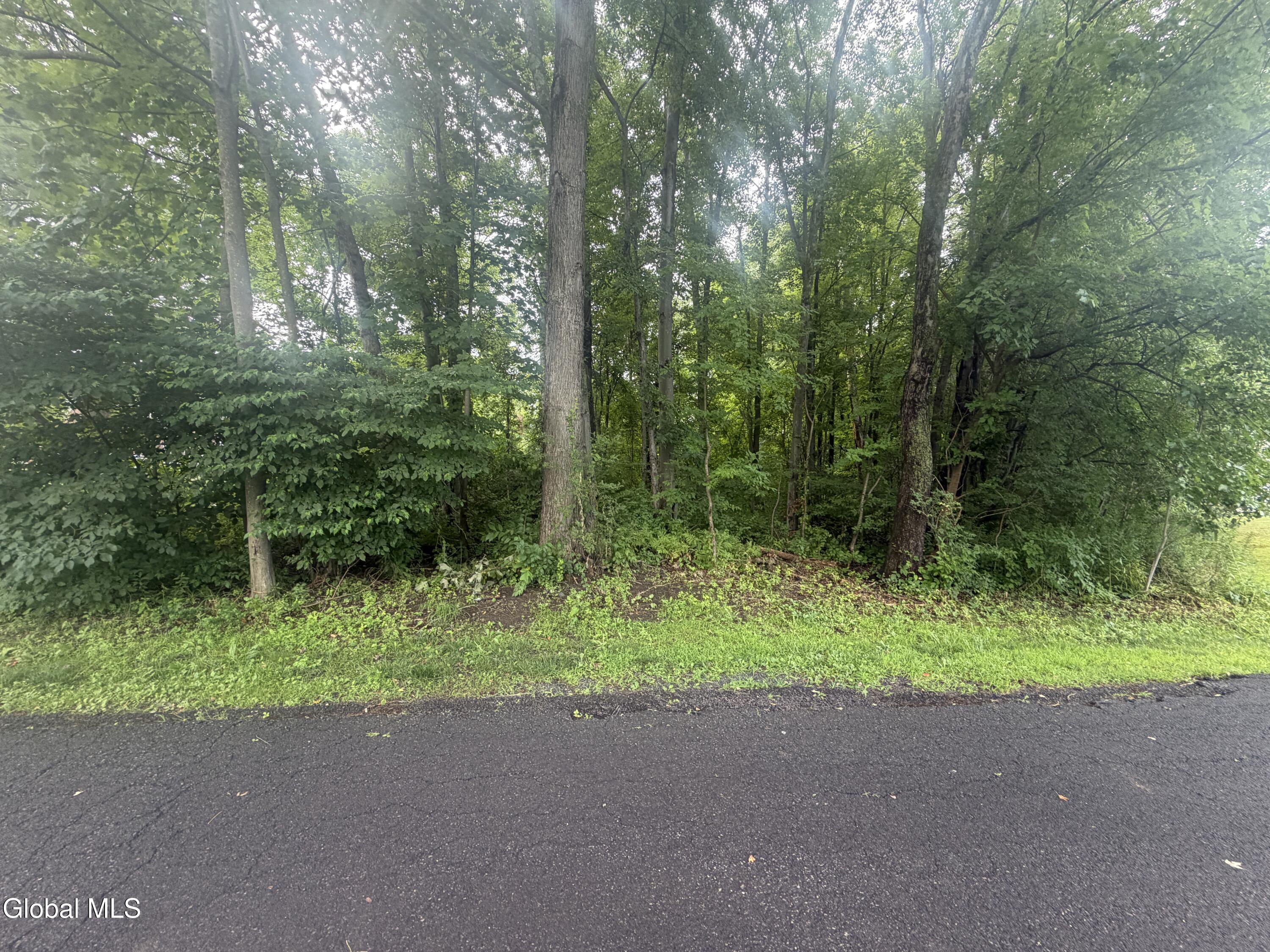 L26 Pausley Court Selkirk NY 12158