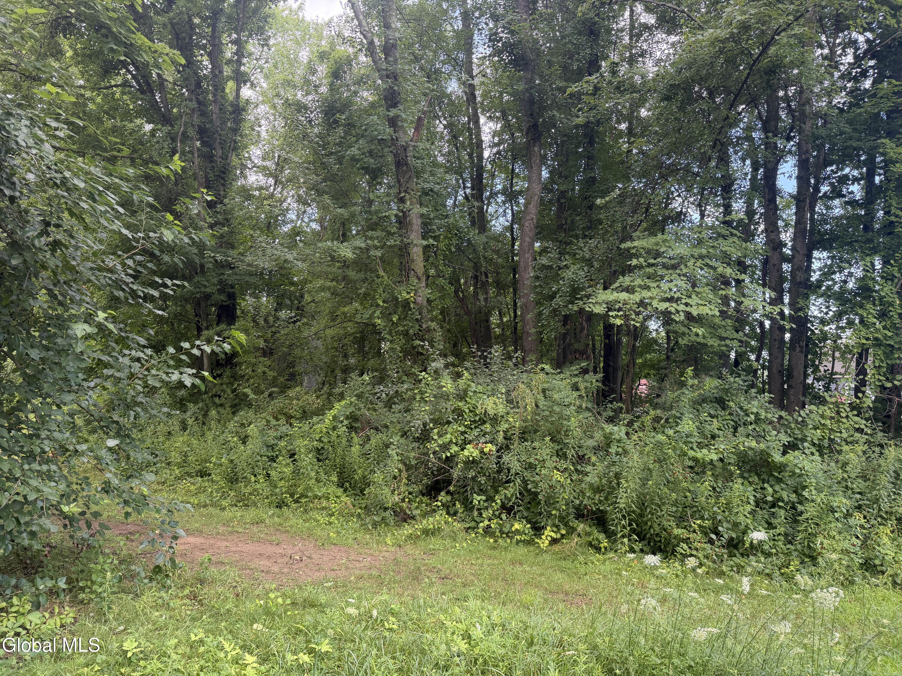 L26 Pausley Court Selkirk NY 12158