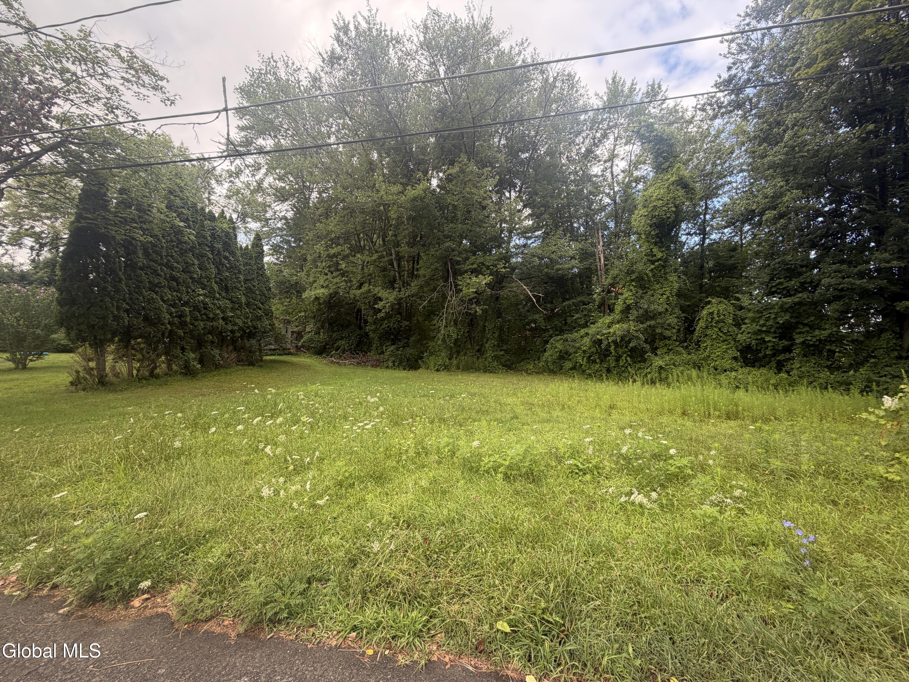 L26 Pausley Court Selkirk NY 12158