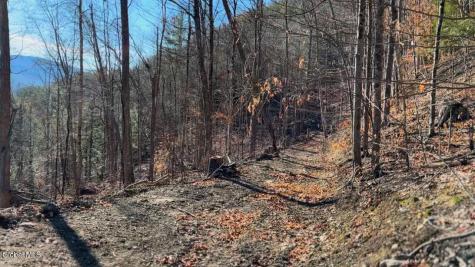 0 Gorge Road Middleburgh NY 12122