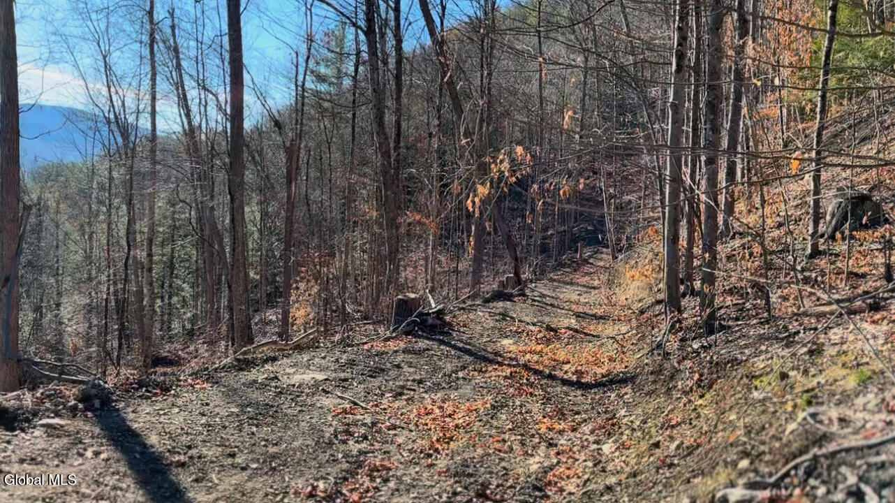 0 Gorge Road Middleburgh NY 12122