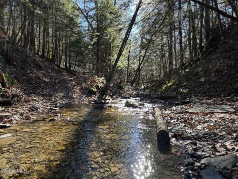 0 Gorge Road Middleburgh NY 12122