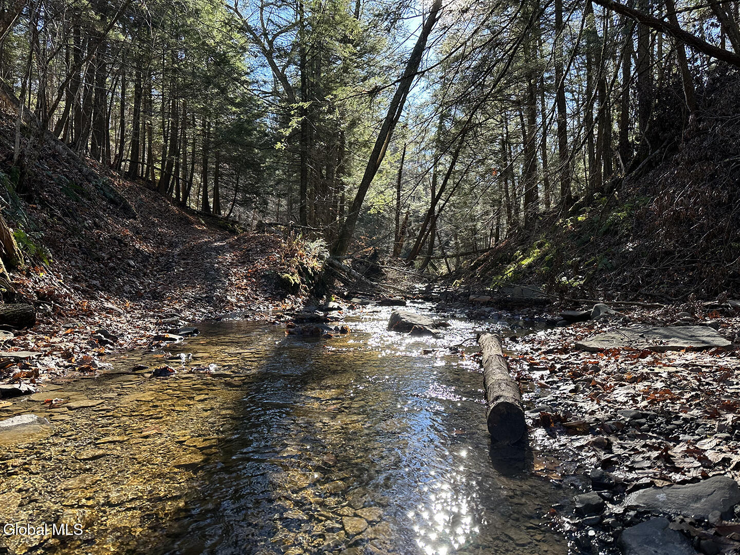0 Gorge Road Middleburgh NY 12122