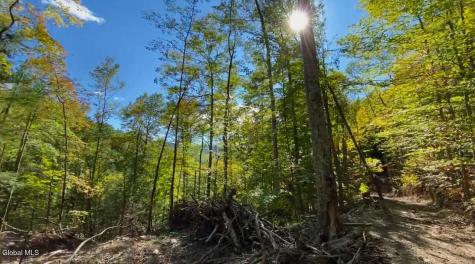 0 Gorge Road Middleburgh NY 12122
