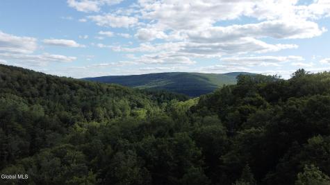 0 Gorge Road Middleburgh NY 12122