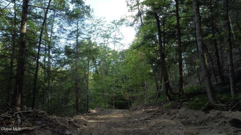 0 Gorge Road Middleburgh NY 12122