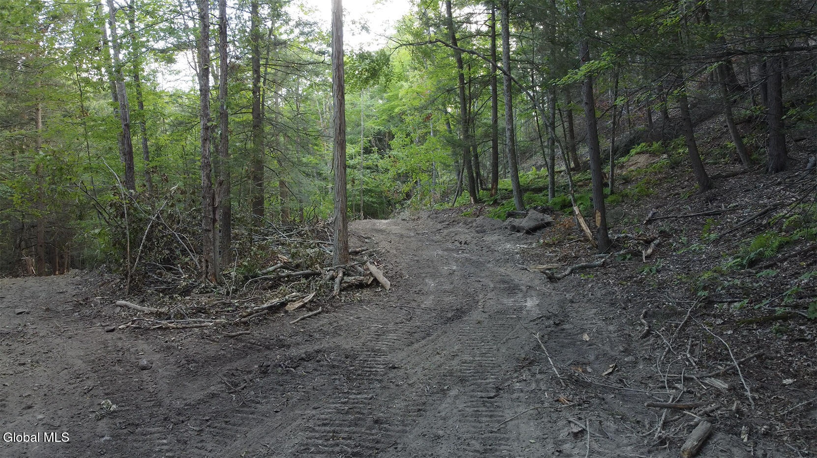 0 Gorge Road Middleburgh NY 12122