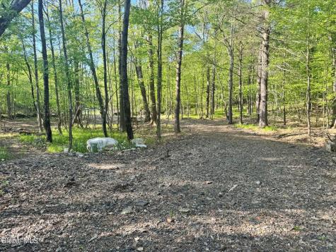L 1-48 Beaver Dam Road Voorheesville NY 12186