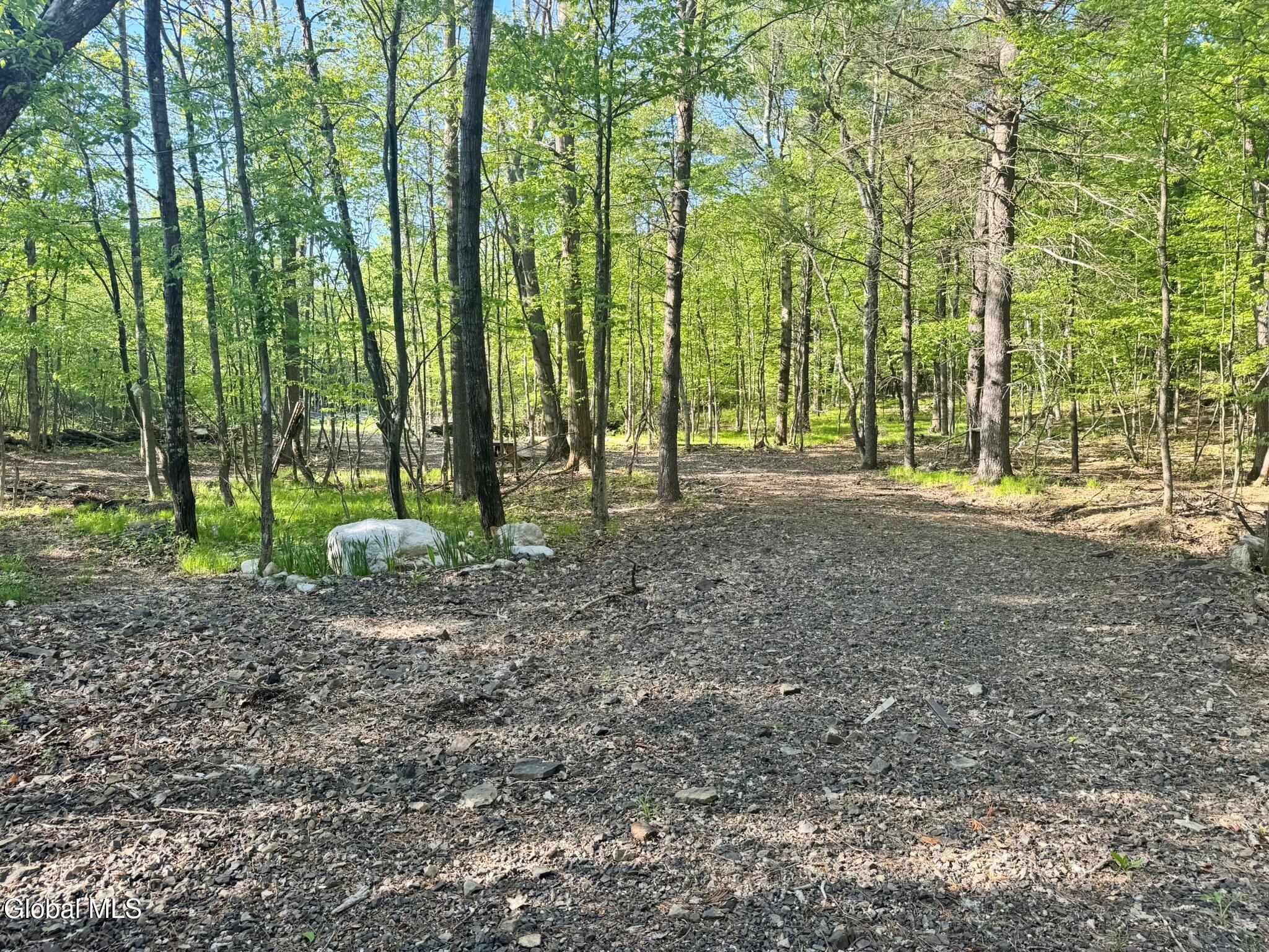 L 1-48 Beaver Dam Road Voorheesville NY 12186