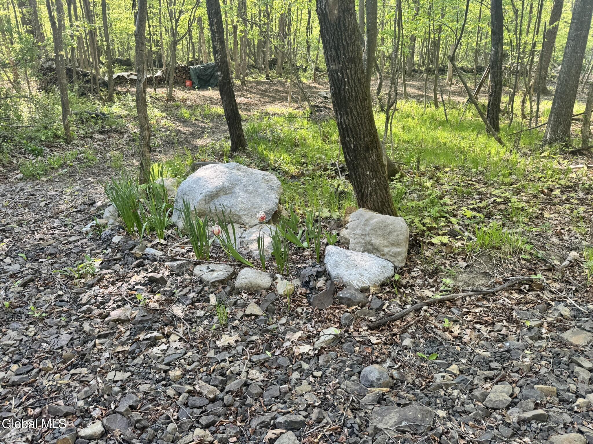 L 1-48 Beaver Dam Road Voorheesville NY 12186