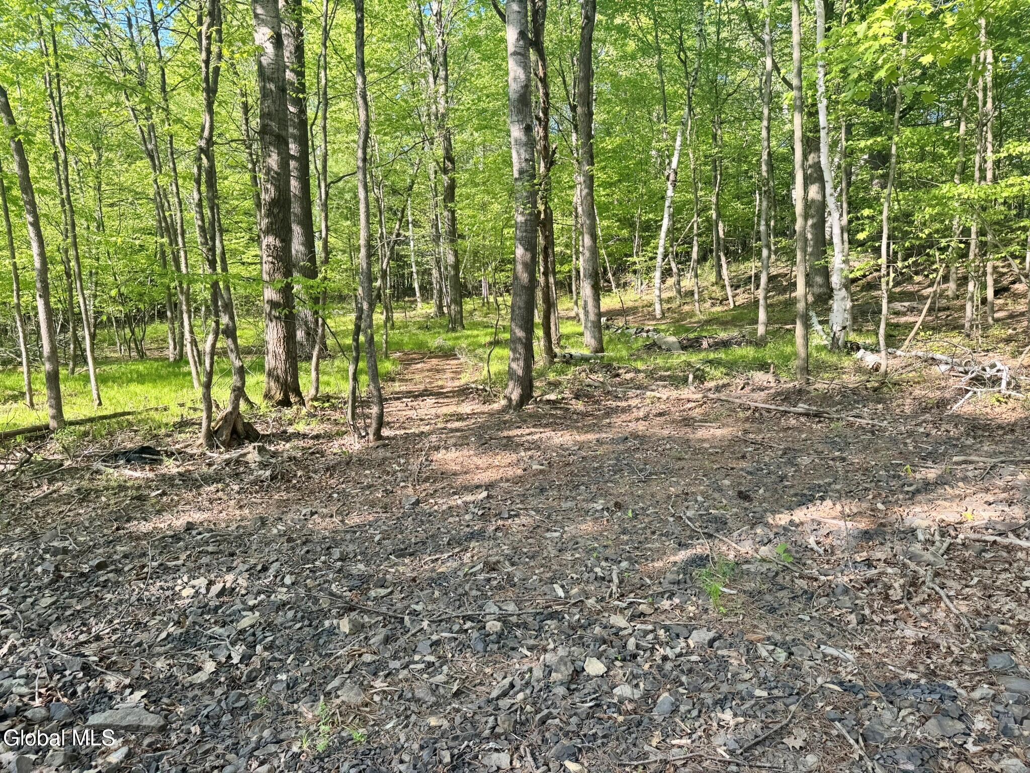 L 1-48 Beaver Dam Road Voorheesville NY 12186