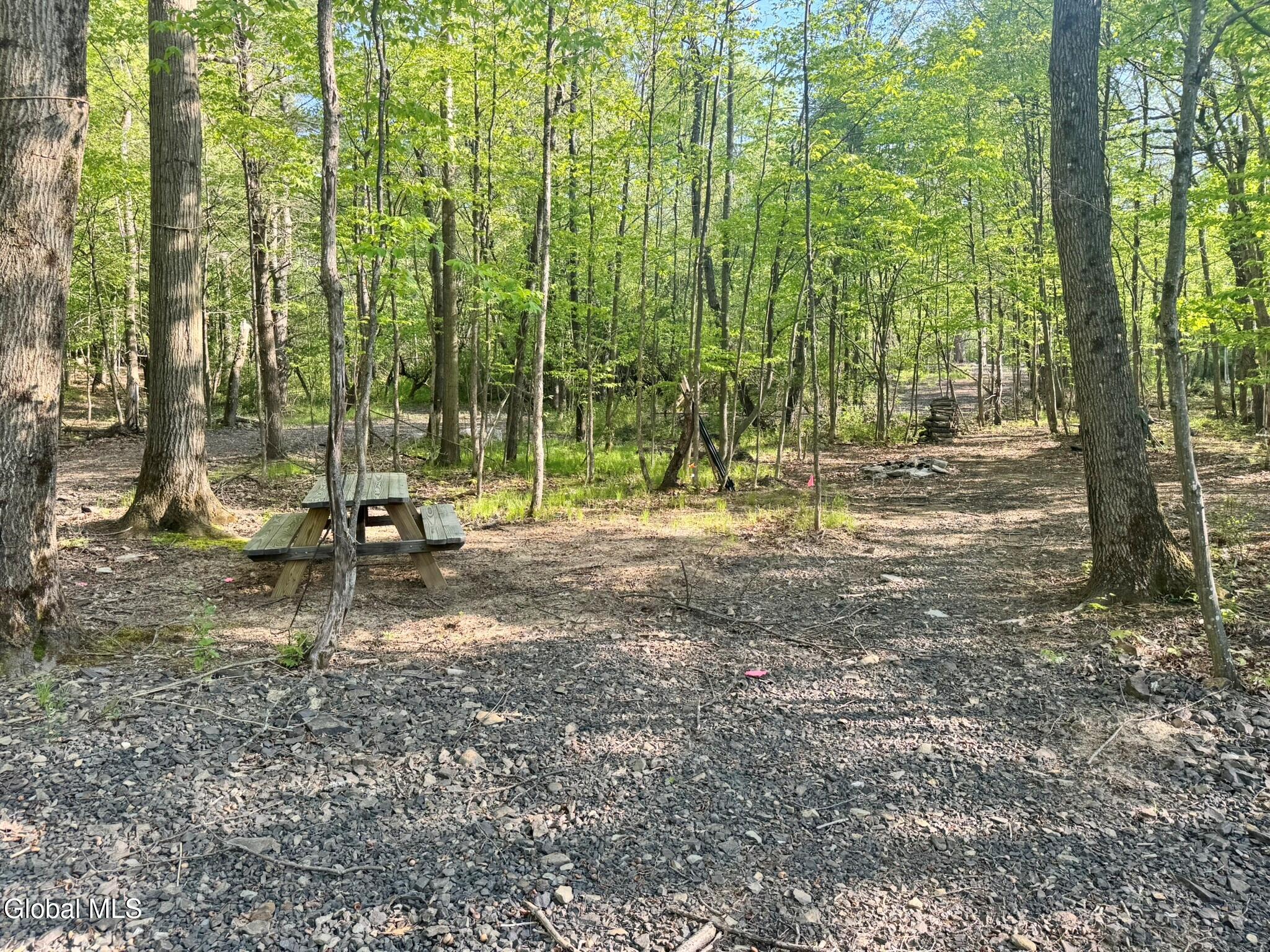 L 1-48 Beaver Dam Road Voorheesville NY 12186