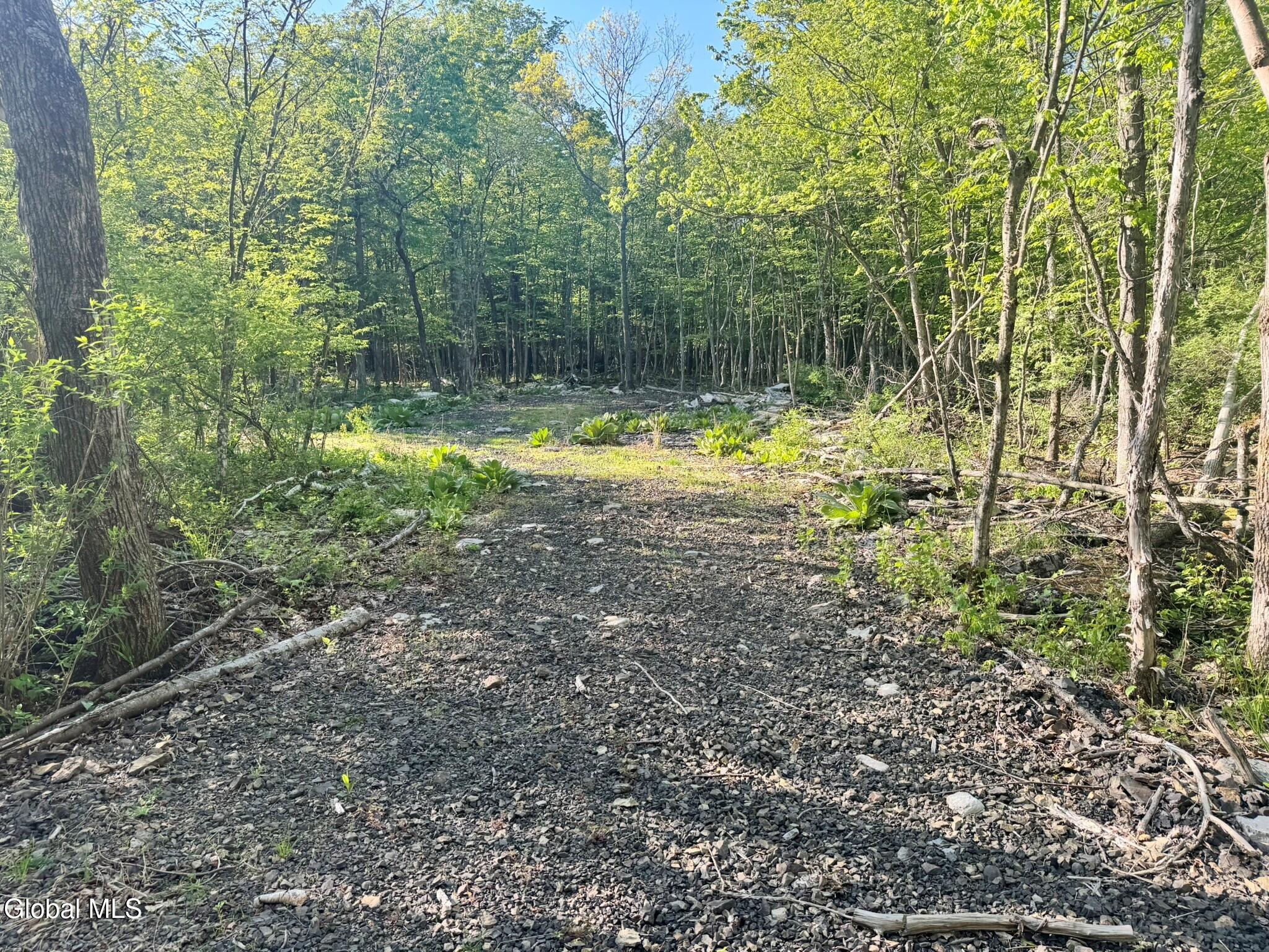 L 1-48 Beaver Dam Road Voorheesville NY 12186