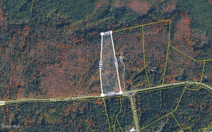 L 1-48 Beaver Dam Road Voorheesville NY 12186