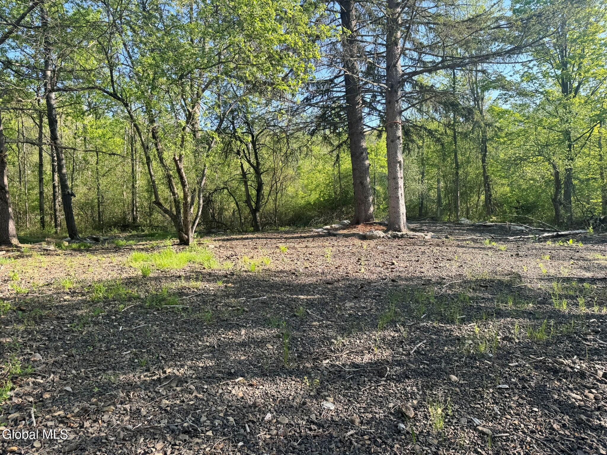 L 1-48 Beaver Dam Road Voorheesville NY 12186
