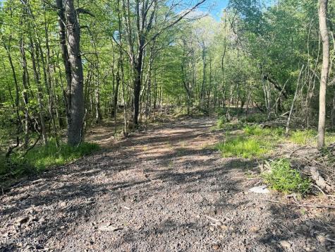 L 1-48 Beaver Dam Road Voorheesville NY 12186