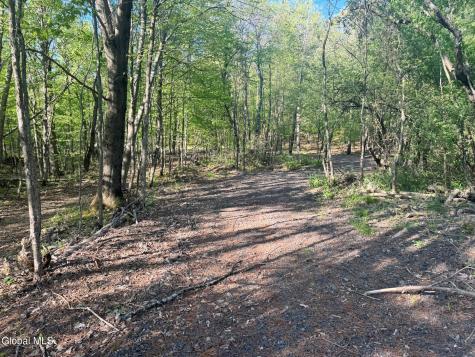 L 1-48 Beaver Dam Road Voorheesville NY 12186