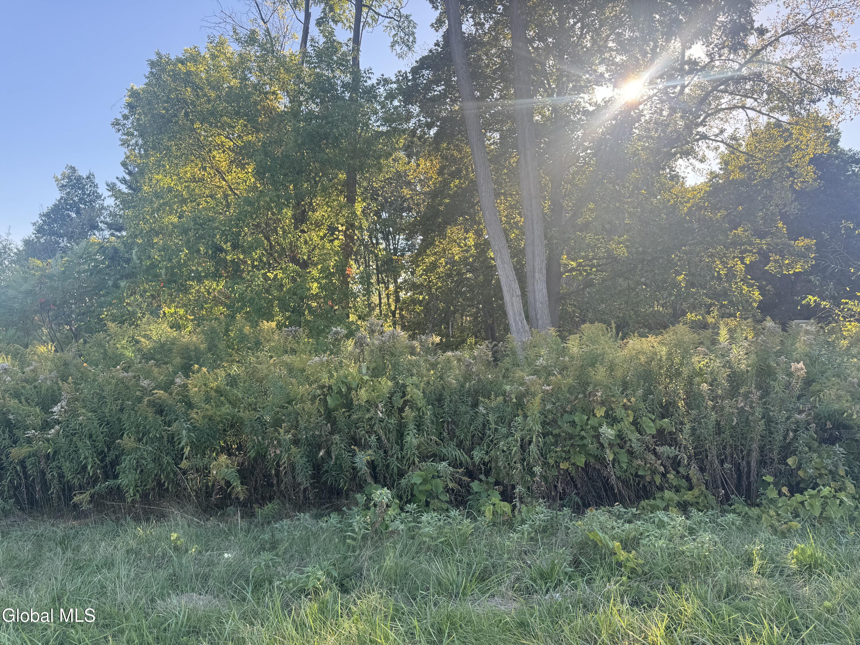 2482 Troy Schenectady Road Schenectady NY 12309