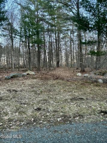 420 Collins Gifford Valley Road Northampton NY 12134